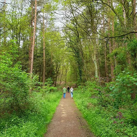 Moi Tied 35677 아파트 *